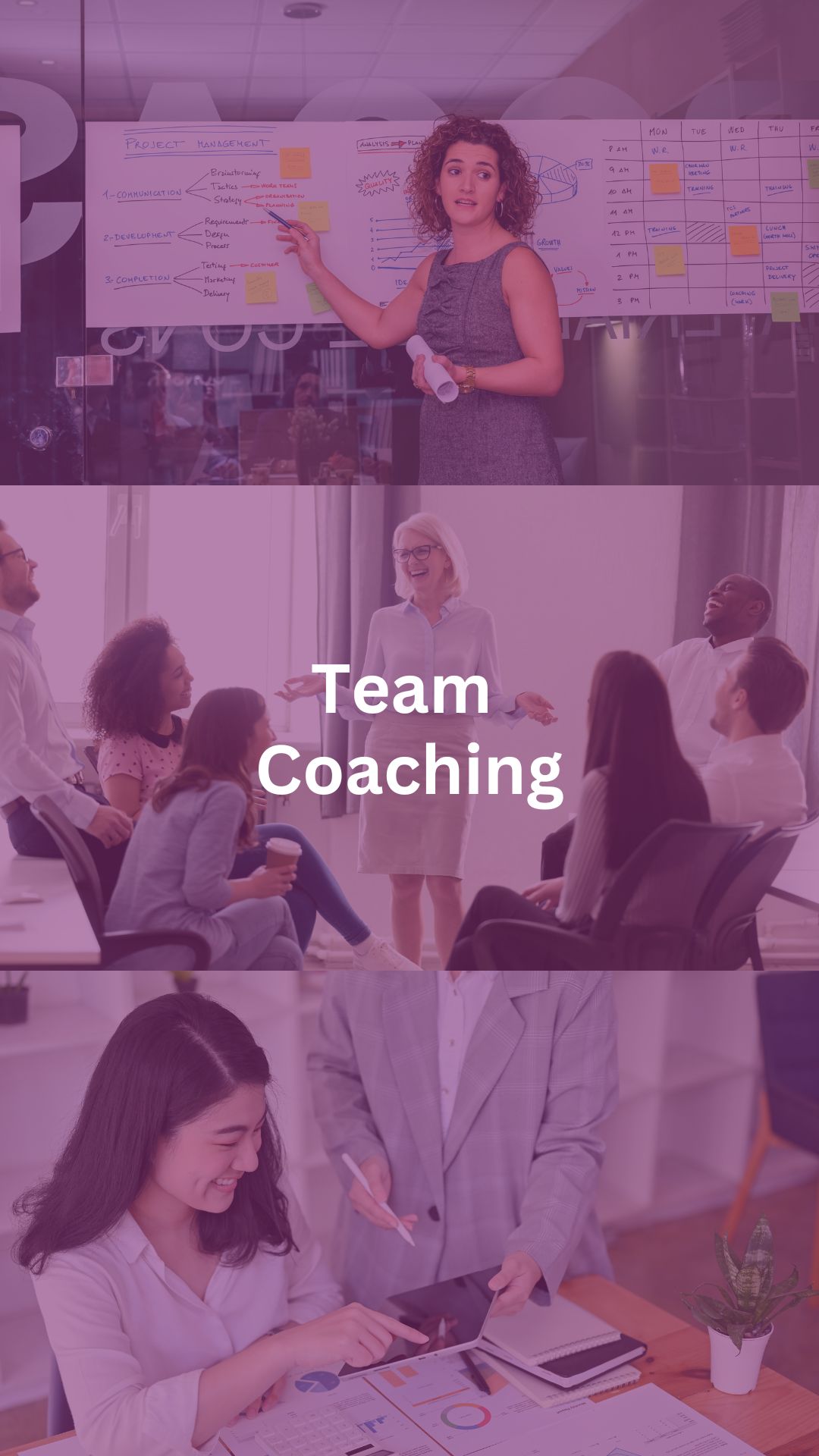 Yuni SalesPro Yuni : Women's Holistic Growth Platform Yuni : Womens Holistic Growth Platform